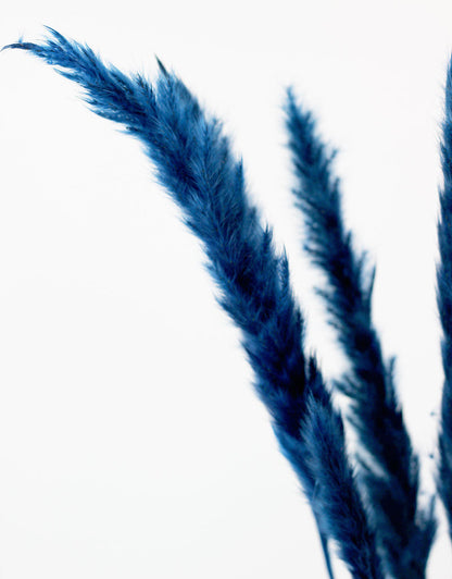 Fluffy Dried Pampas Grass - Dark Blue, 75 cm