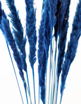 Fluffy Dried Pampas Grass - Dark Blue, 10 Stems, 75 cm