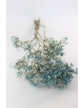 Dried Gypsophila - Light Blue Bunch, 5 Stems, 70 cm