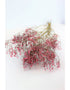 Dried Gypsophila - Light Pink Bunch, 5 Stems, 80 cm