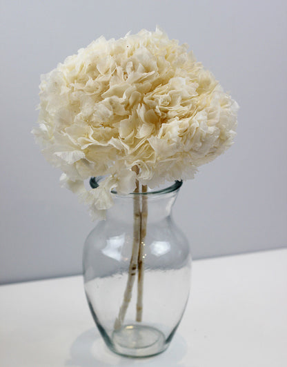 preserved hydrangea bouquet