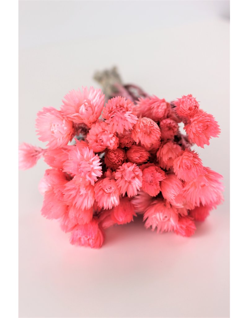 Dried Kaaps - Light Pink