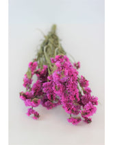 Large Dried Limonium Statice - Cerise Pink, 70 cm