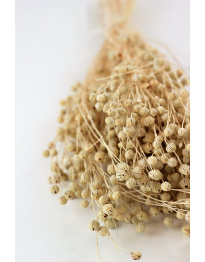 Dried Lino Vlas - Bleached Bunch at best prices