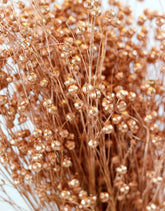 Dried Lino Vlas - Copper Bunch, 50 cm