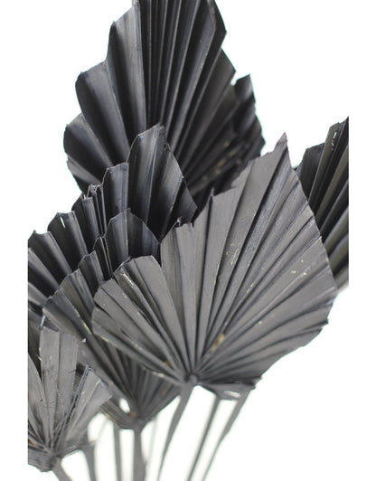 Mini Dried Palm Spears - Black, 10 Stems, 45 cm