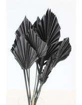 Mini Dried Palm Spears - Black Natural
