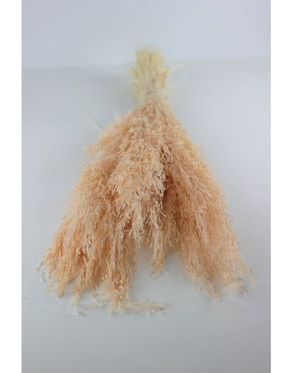 Dried Munni Grass - Soft Pink Bunch, 60 cm
