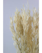 Dried Oat Avena- Bleached, 70 cm
