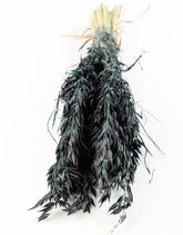 Dried Oat Avena- Green/Black, 100 grams, 60 cm