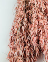 Dried Oat Avena- Salmon Pink, 60 cm