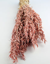 Dried Oat Avena- Salmon Pink, 100 grams, 60 cm