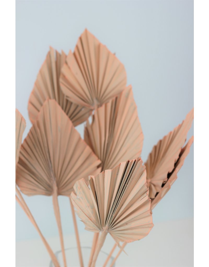 Dried Palm Spears - Salmon Pink, 10 Stems