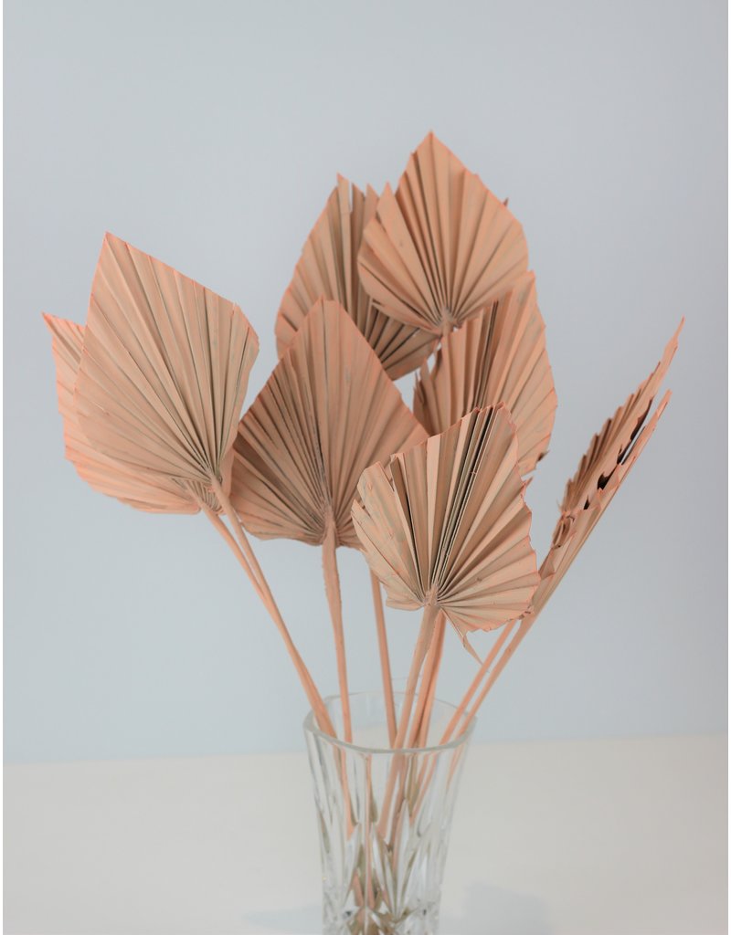 Dried Palm Spears - Salmon Pink Natural