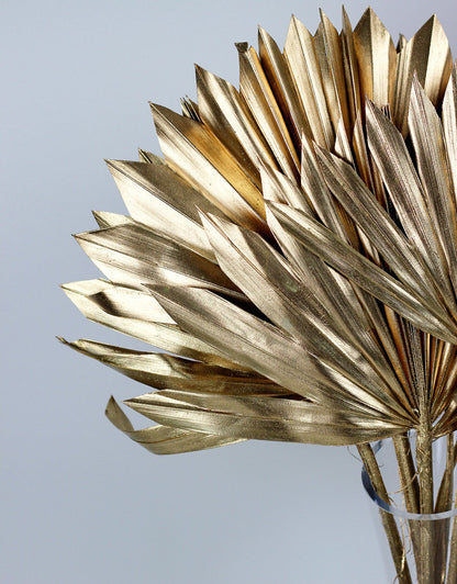 Dried Palm Sun - Antique Gold, 6 Stems, 60 cm