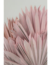 Dried Palm Sun - Baby-Pink, 6 Stems, 60 cm
