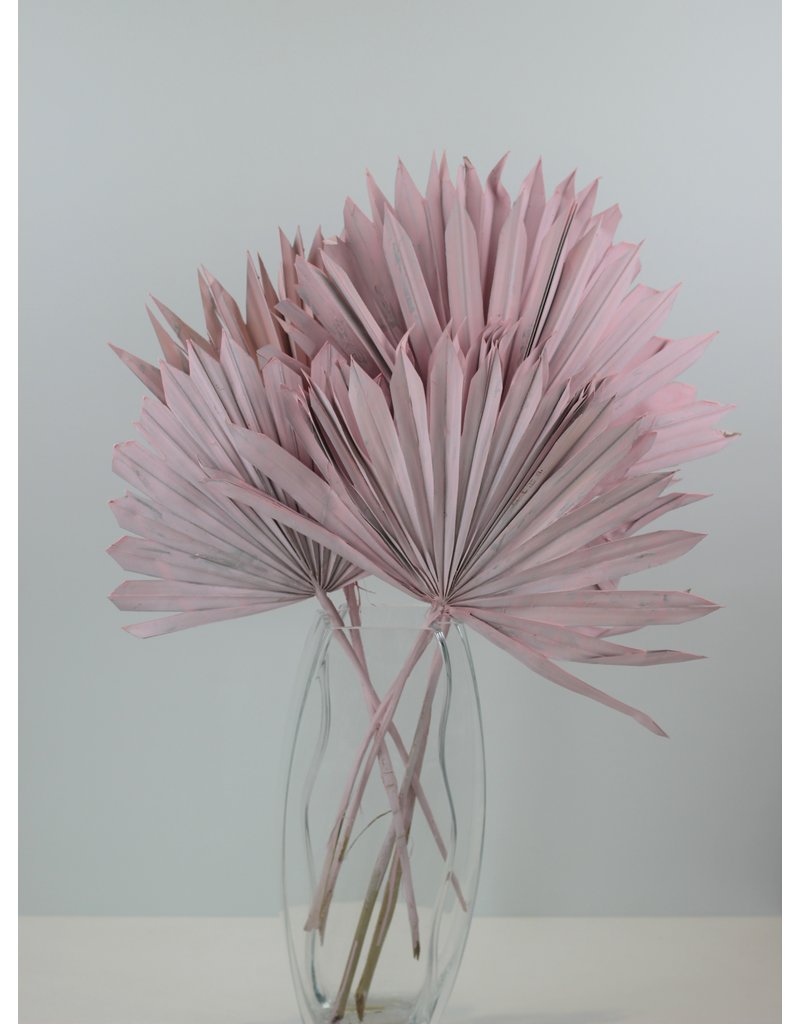 Dried Palm Sun - Baby-Pink Natural