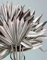 Dried Palm Sun - Champagne, 6 Stems, 60 cm