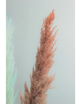 Dried Pampas Grass - Pastel Mix, 3 Stems, 120 cm, fluffy pampas