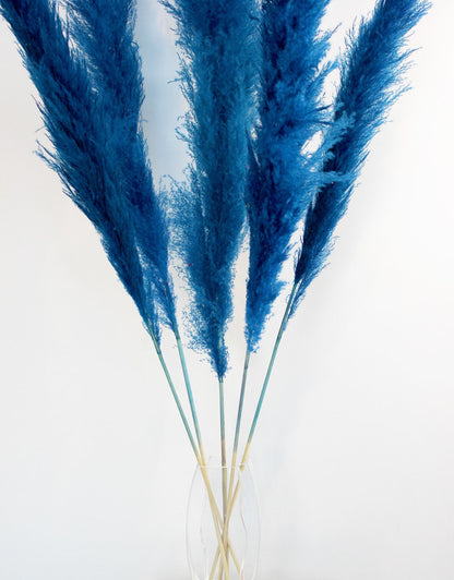 Dried Pampas Grass - Dark Blue, XL, 2 pc
