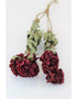 Dried Peony - Burgundy Red, 4 Stems, 55 cm