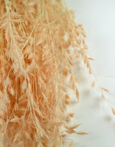 : Dried Princess Grass - Light Pink Bunch, 80 cm