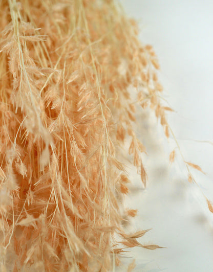 : Dried Princess Grass - Light Pink Bunch, 80 cm