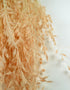 : Dried Princess Grass - Light Pink Bunch, 80 cm