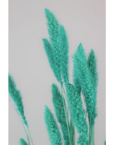Dried Setaria - Turquoise Bunch, 170 grams