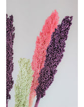 Dried Sorghum - Pastel Mix, 6 Stems