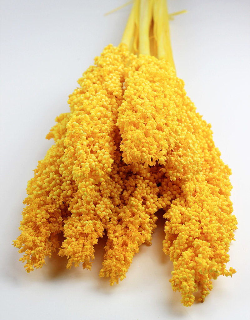 Dried Sorghum - Yellow Bunch, 70 cm at lowest prices
