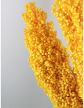 Dried Sorghum - Yellow, 70 cm