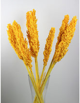 Dried Sorghum - Yellow, 6 Stems, 70 cm