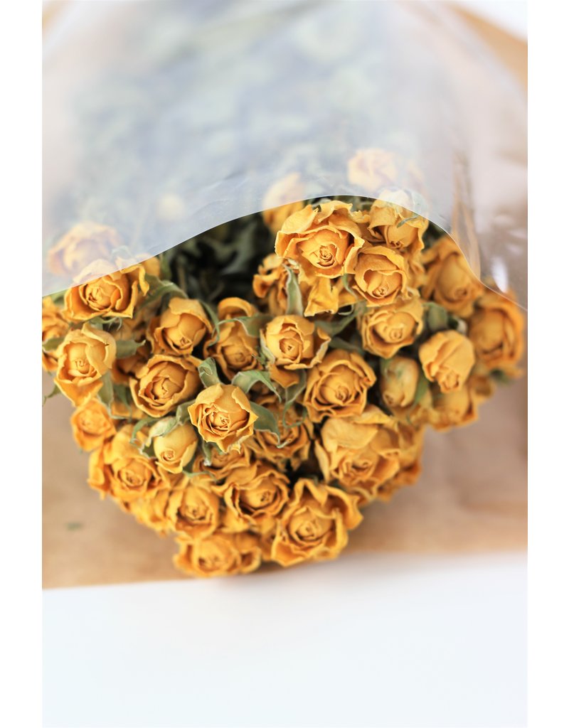 Dried Spray Roses - Yellow Bunch, 50 cm