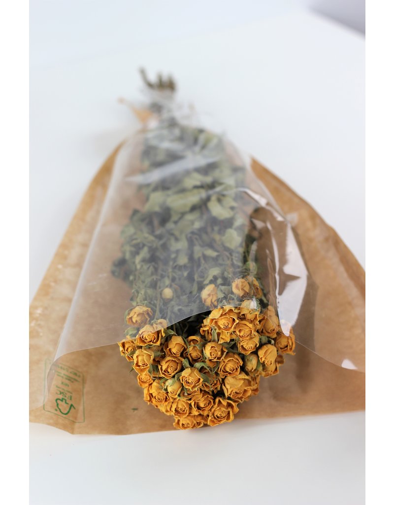 Dried Spray Roses Yellow Bunch