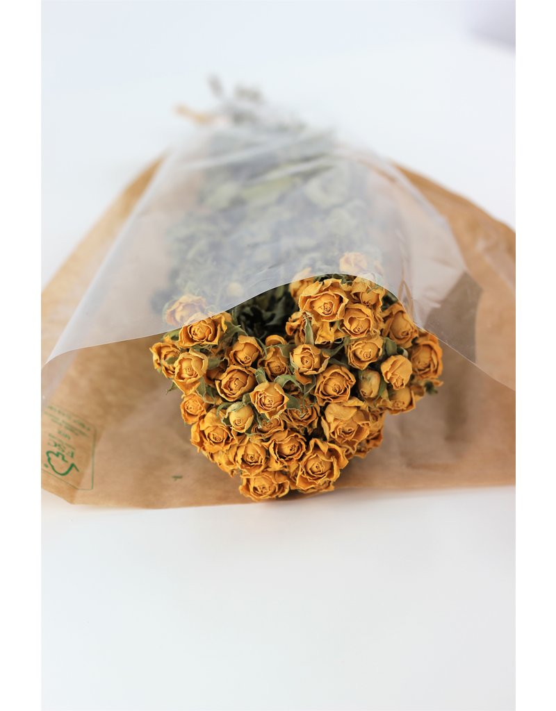 Dried Spray Roses Yellow Bunch UK