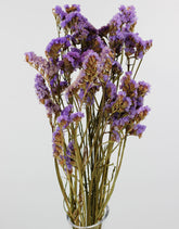 Dried Statice - Light Blue Bunch, 10 Stems, 55 cm