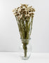 Dried Statice - Assorted White Bunch, 50 cm