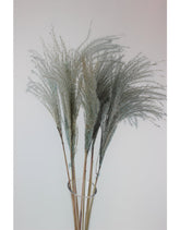 Dried Stipa Feather - Light Blue Bunch, 10 Stems, 70 cm
