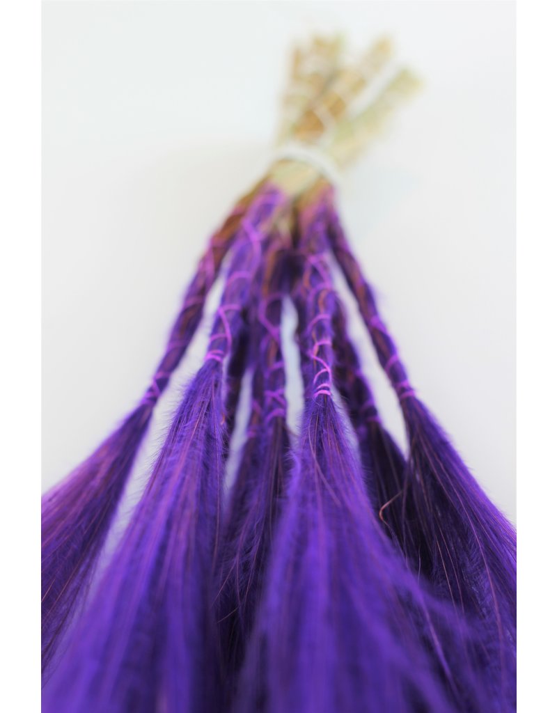Dried Stypha Pennata - Violet Bunch