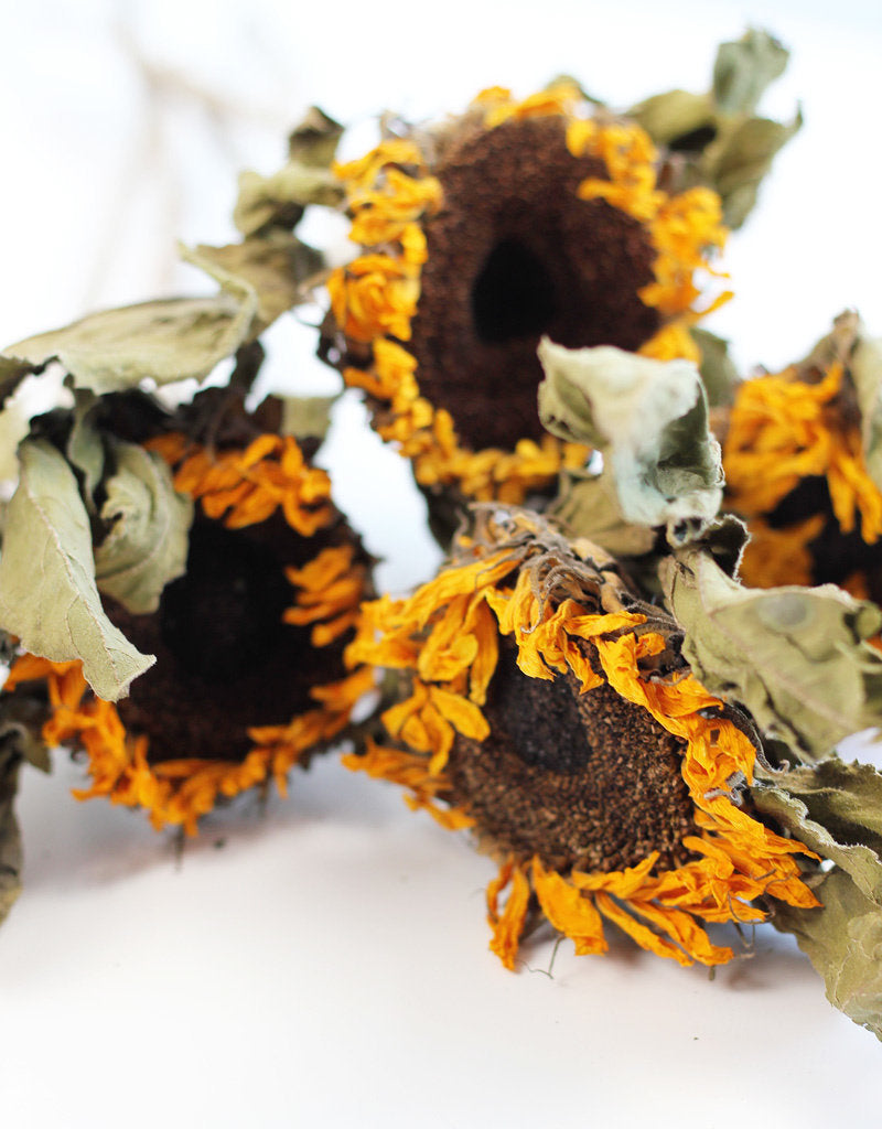Dried Sunflowers - Yellow Bunch, 5 Stems, 60 cm