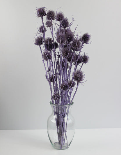 Dried Thistle - Lilac Bunch, 60 cm