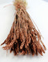 Dried Triticum (Wheat) - Copper Bunch, 65 cm