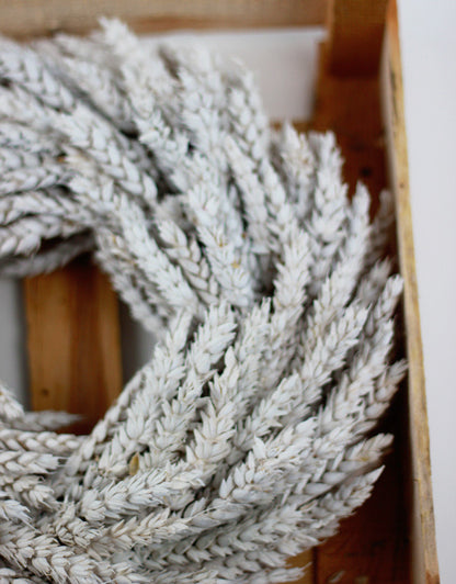 Dried Triticum Wreath - Frosted White Natural