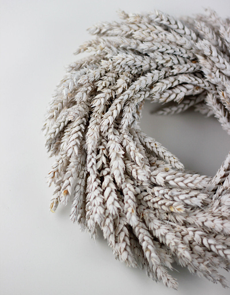 Dried Triticum Wreath - Frosted White Natural