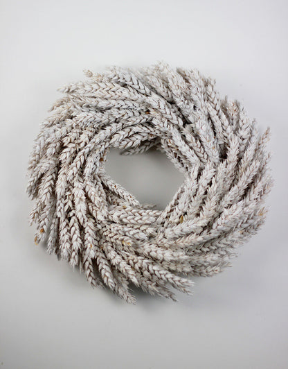 Dried Triticum Wreath - Frosted White, 30 cm