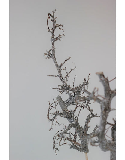 Frosted White Twigs on Wooden sticks UK