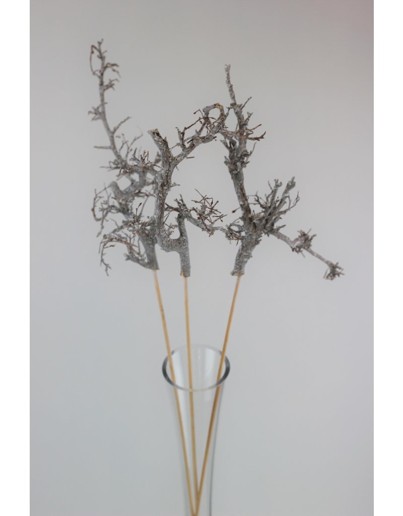Frosted White Twigs on Wooden sticks - 70 cm