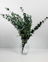 Preserved Eucalyptus - Espiral Green Bunch, 70 cm