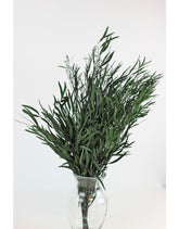 Preserved Eucalyptus Nicoly - Green Bunch, 60 cm